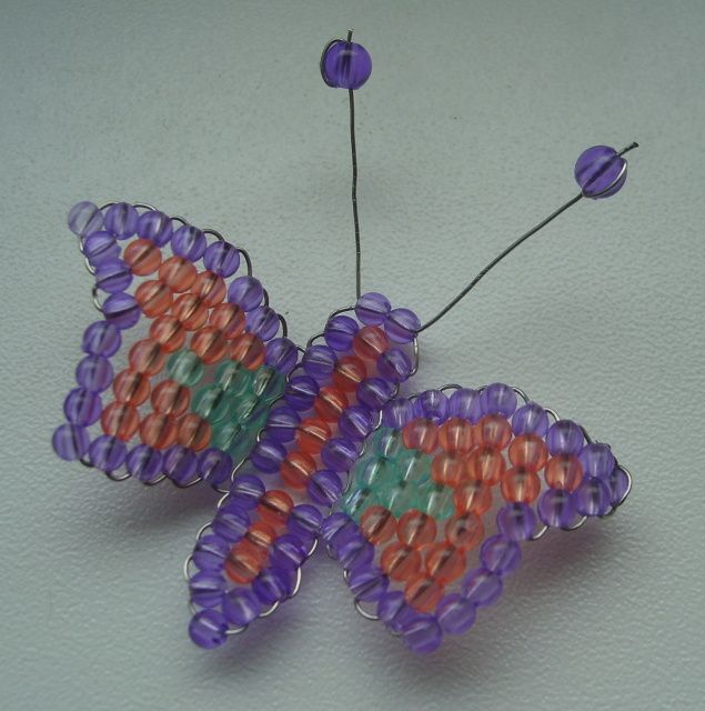 Motýl 1